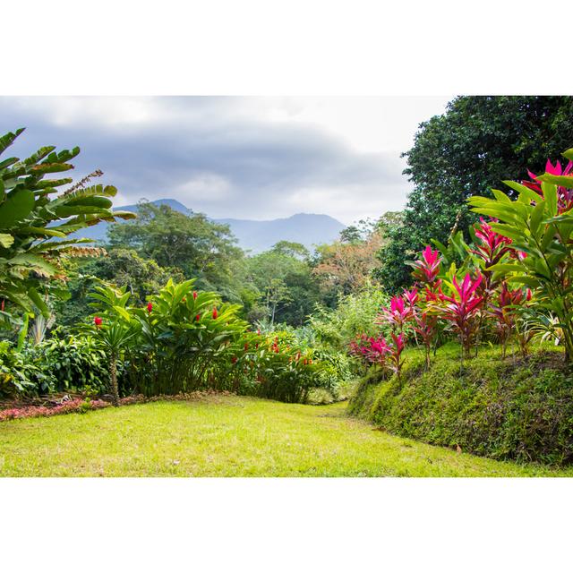 Tropical Garden by JosephJacobs - Wrapped Canvas Print Alpen Home Size: 61cm H x 91cm W on Productcaster.