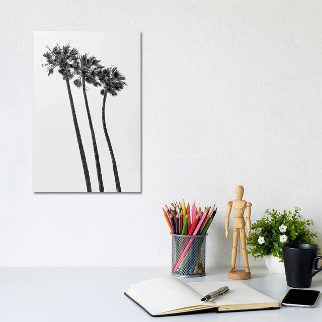 Palm Trees At The Beach | Monochrome House of Hampton Size: 30.48cm H x 20.32cm W x 1.905cm D on Productcaster.