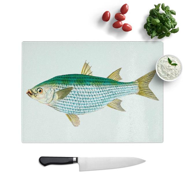 Tempered Glass Mullet Fish by Edward Donovan Chopping Board East Urban Home Size: 39 cm W x 28.5 cm L on Productcaster.