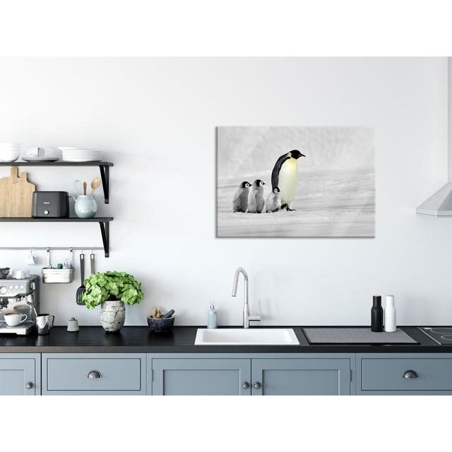 4 Emperor Penguins in the Snow Wall Art Highland Dunes Size: 60cm H x 80cm W x 0.4cm D on Productcaster.