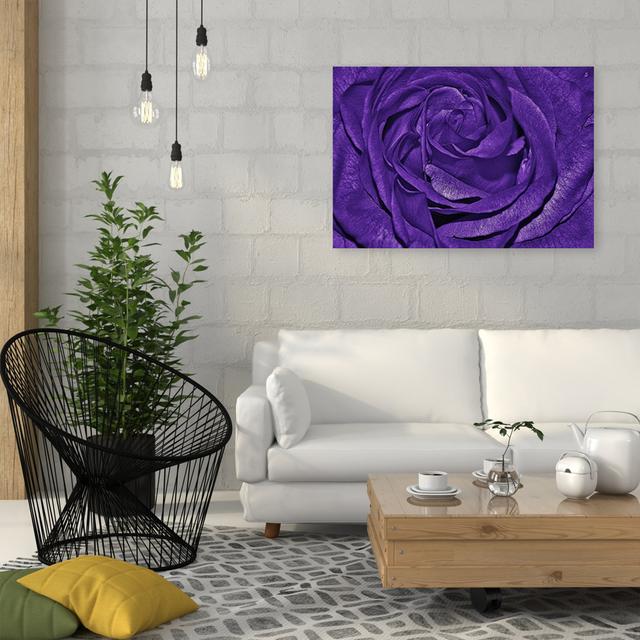 Leinwandbild Purple Flowers Canora Grey Größe: 50 cm H x 70 cm B on Productcaster.