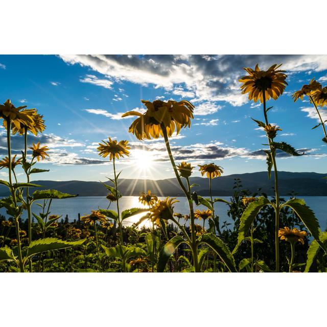 Yellow Lake Flowers, Kelowna Pergo Classics Size: 20cm H x 30cm W 3.8cm D on Productcaster.