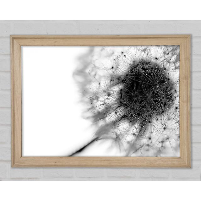 Dewdrop Heaven - Single Picture Frame Print Latitude Run Size: 21cm H x 29.7cm W x 1.5cm D, Format: Natural Framed Paper on Productcaster.