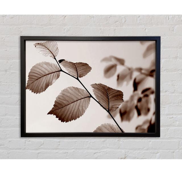 Cocoa Leaves Framed Print Bright Star Size: 100cm H x 141.4cm W on Productcaster.