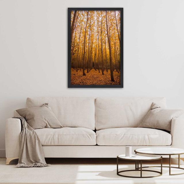 Gerahmtes Poster Golden Forest in Autumn Alpen Home Größe: 30 cm H x 20 cm B x 2 cm T on Productcaster.