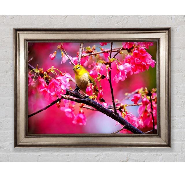 Single Picture Frame Art Prints Bright Star Size: 21cm H x 42cm W on Productcaster.