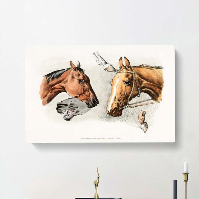 Horse Heads And Hoofs by Henry Alken - Wrapped Canvas Painting East Urban Home Size: 35cm H x 50cm W x 3cm D on Productcaster.