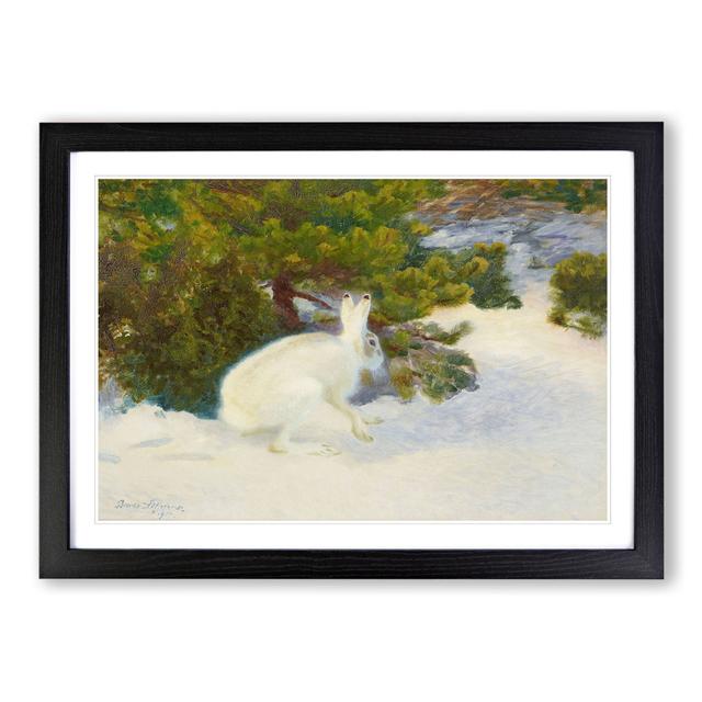 White Hare Vol.8 by Bruno Liljefors - Picture Frame Painting East Urban Home Size: 48cm H x 65cm W x 2cm D, Frame Option: Black on Productcaster.