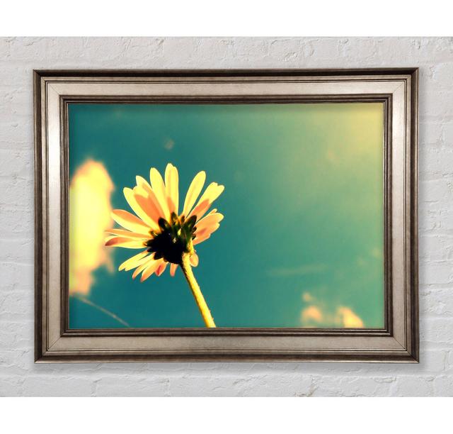 Single Picture Frame Art Prints Bright Star Size: 84.1cm H x 142.2cm W on Productcaster.