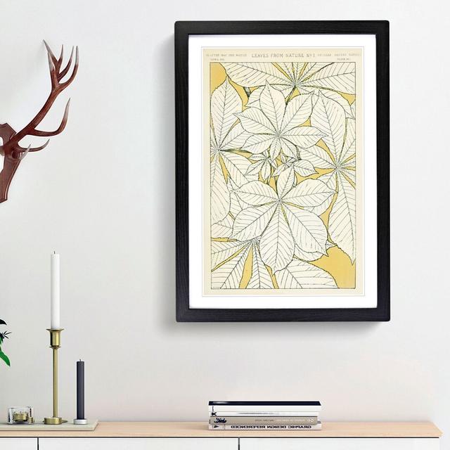 Leaves from Nature No. 1 by Owen Jones - Picture Frame Painting Print East Urban Home Size: 48cm H x 36cm W x 2cm D, Frame Option: Black Framed on Productcaster.