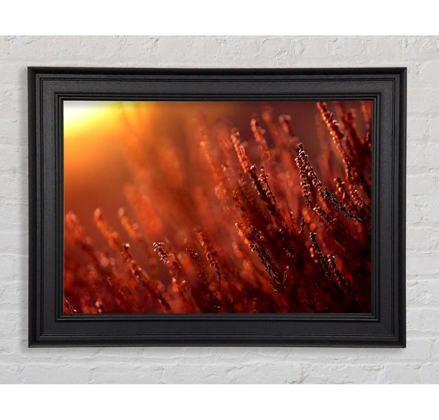 Single Picture Frame Art Prints 17 Stories Size: 42cm H x 59.7cm W on Productcaster.