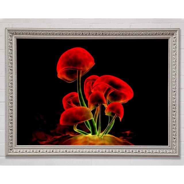 Red Magic Mushrooms Framed Print Bright Star Size: 29.7cm H x 42cm W on Productcaster.