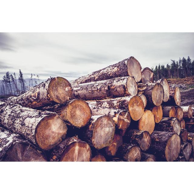 Logs Against A Gloomy Sky Union Rustic Size: 61cm H x 91cm W x 3.8cm D on Productcaster.