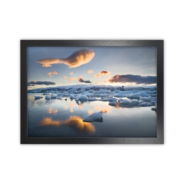 Lagoon Duck by Karsten Wrobel - Photograph Print on Canvas House of Hampton Size: 25cm H x 34cm W x 3cm D, Format: Black Framed on Productcaster.