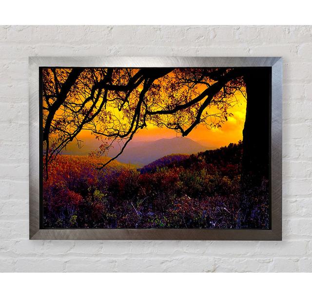 Autumn Dusk - Single Picture Frame Art Prints Bright Star Size: 59.7cm H x 84.1cm W x 3.4cm D on Productcaster.