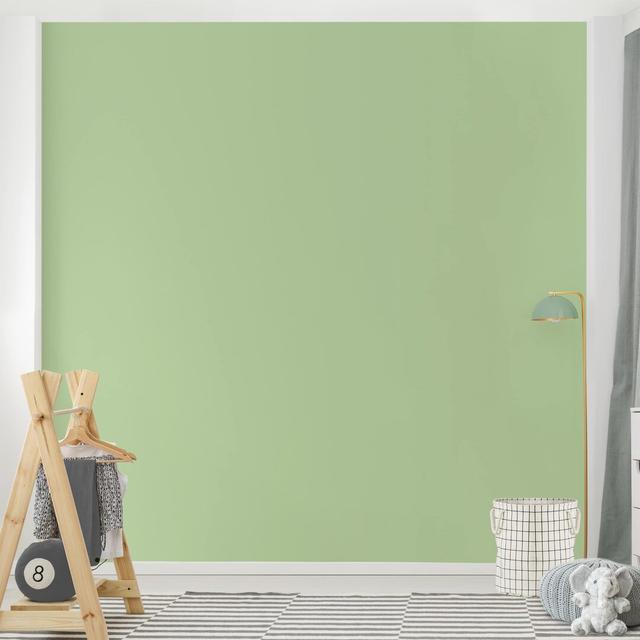 Mint 1.92m x 1.92m Textured Matte Peel & Stick Wall Mural East Urban Home on Productcaster.