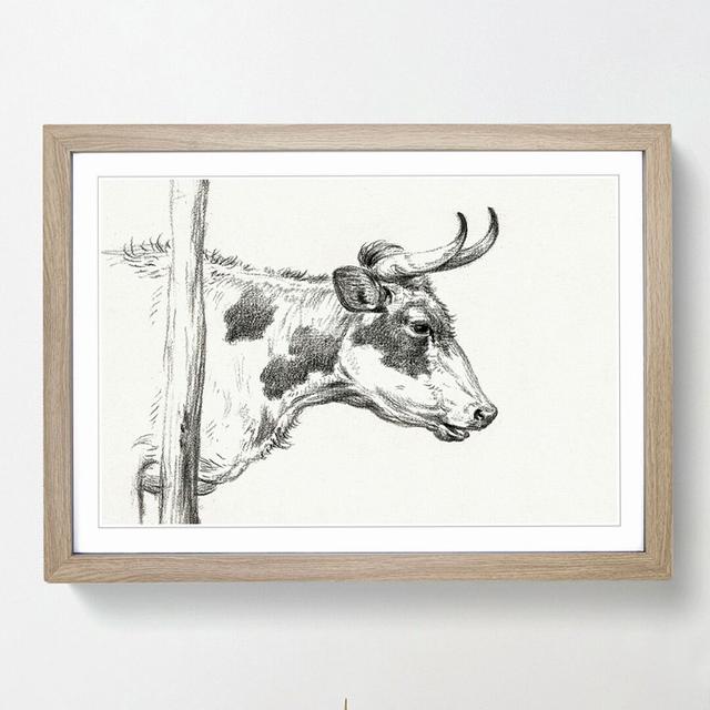 Horns of the Cow by Jean Bernard - Picture Frame Drawing Print East Urban Home Frame Option: Oak Framed, Size: 36cm H x 48cm W x 2cm D on Productcaster.