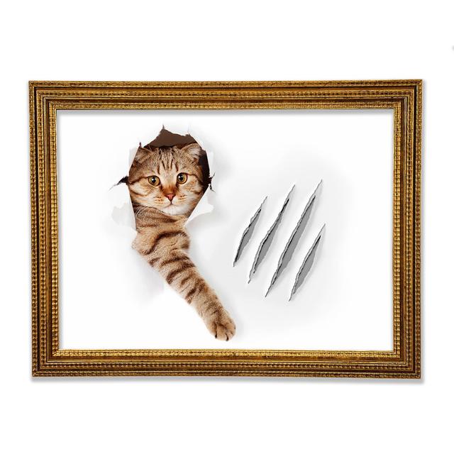 Cat Claws - Single Picture Frame Art Prints Ebern Designs Size: 84.1cm H x 118.9cm W x 3cm D on Productcaster.