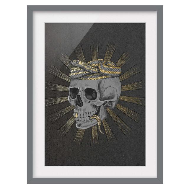 Picture With Frame - Illustration Skull And Snake Black Gold - Portrait 4:32 Maturi Frame Option: Grey Framed, Size: 55cm H x 40cm W x 2cm D on Productcaster.