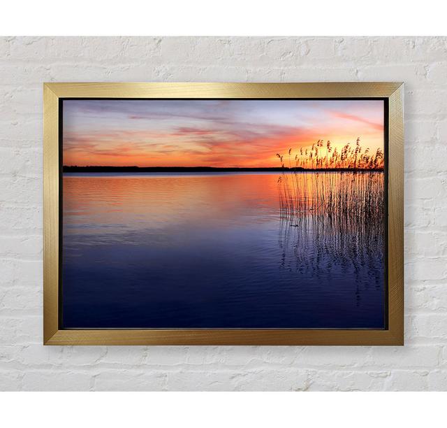 Serene Sunset - Einzelner Bilderrahmen Kunstdrucke Bright Star Größe: 100 cm H x 141,4 cm B on Productcaster.