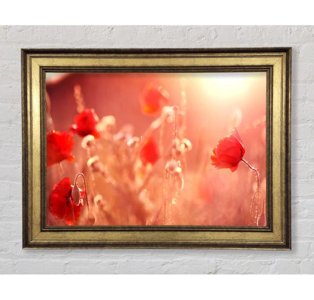 Picture Frame Art Prints Bright Star Size: 29.7cm H x 42cm W x 8cm D on Productcaster.