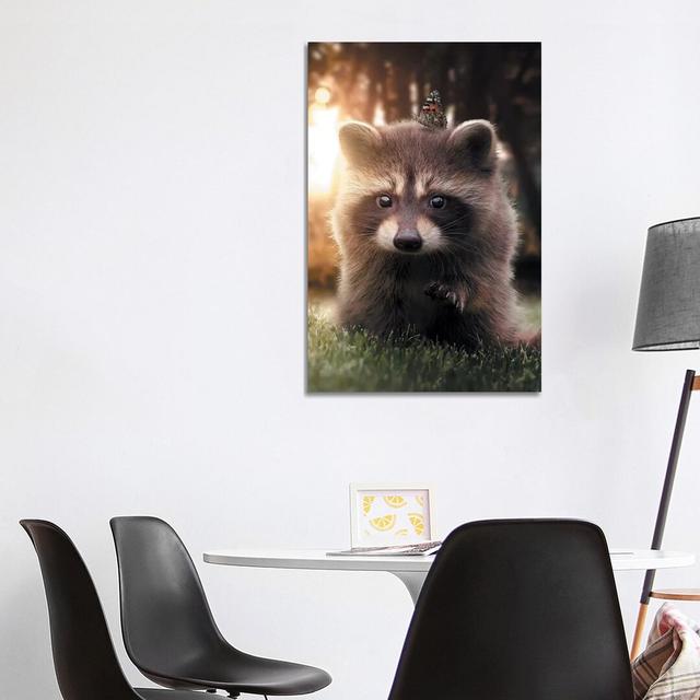 Raccoon Butterfly by Zenja Gammer - Photograph Print on Canvas World Menagerie Format: Wrapped Canvas, Size: 101.6cm H x 66.04cm W x 3.81cm D on Productcaster.