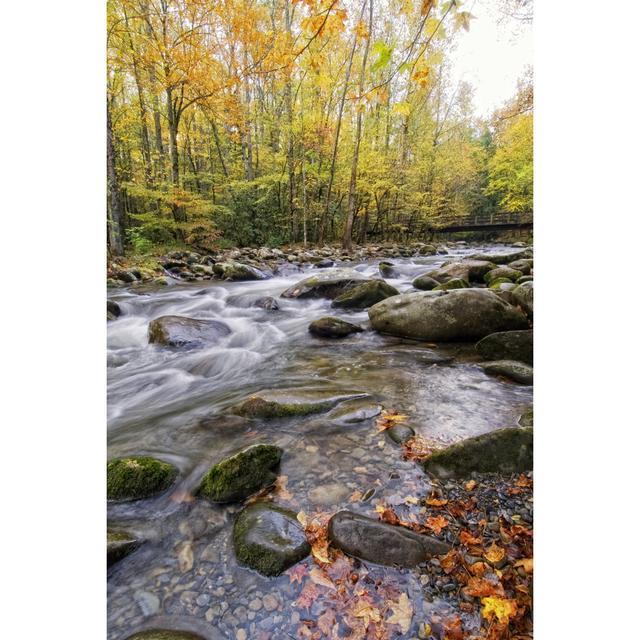 Roaring Waters III by Danny Head - Wrapped Canvas Print Union Rustic Size: 46cm H x 30cm W on Productcaster.