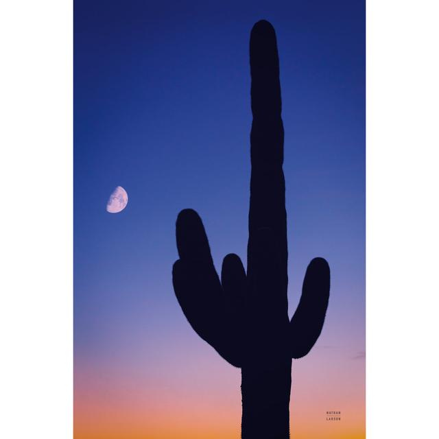 Candy Rock Desert by Nathan Larson - Wrapped Canvas Painting Natur Pur Size: 91cm H x 61cm W x 3.8cm D on Productcaster.