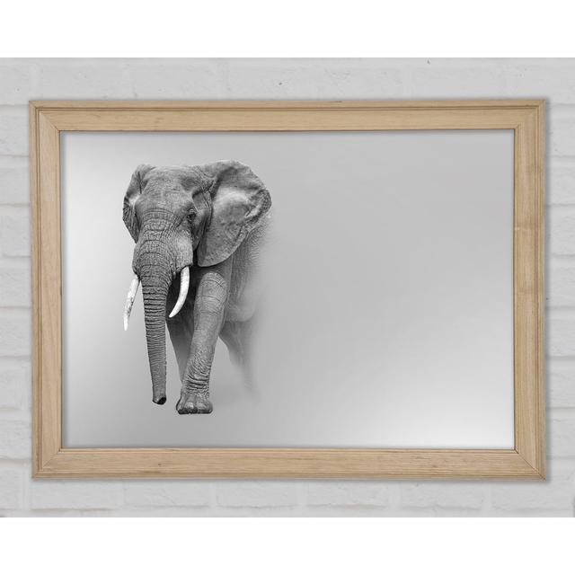 Elephant In The Mist - Print Ebern Designs Size: 29.7cm H x 42cm W x 1.5cm D on Productcaster.