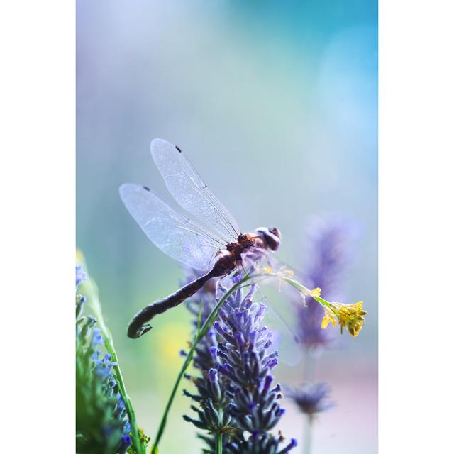 Dragonfly by Kalistratova - Print Brambly Cottage Size: 30cm H x 20cm W on Productcaster.