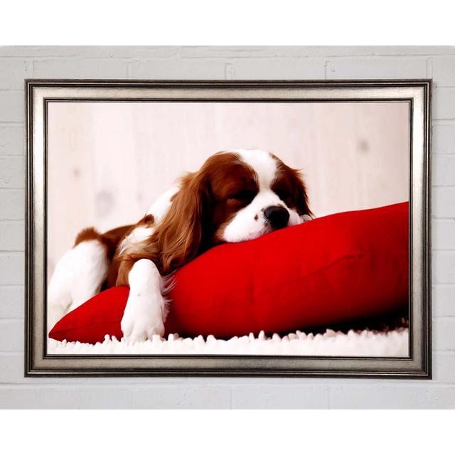 King Charles Thrown - Single Picture Frame Art Prints Brayden Studio Size: 21cm H x 29.7cm W x 1.5cm D on Productcaster.