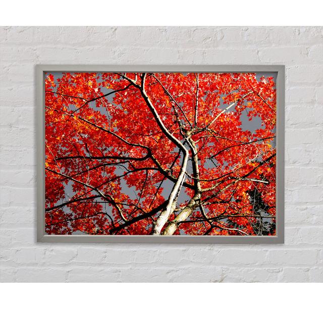 Red Tree Giant Framed Print 17 Stories Size: 84.1cm H x 118.9cm W on Productcaster.