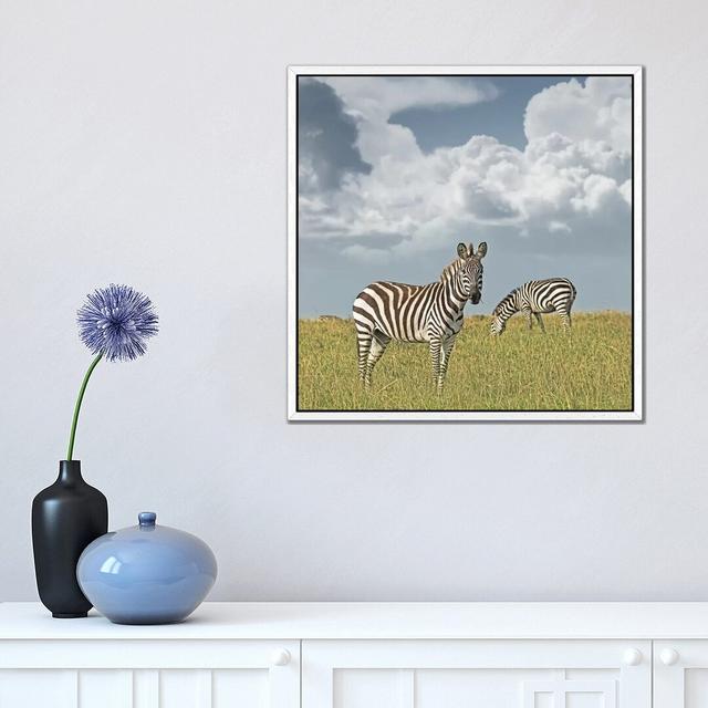 Colour Zebra Duo by Klaus Tiedge - Photograph Print on Canvas World Menagerie Format: White Framed, Size: 45.72cm H x 45.72cm W x 3.81cm D on Productcaster.