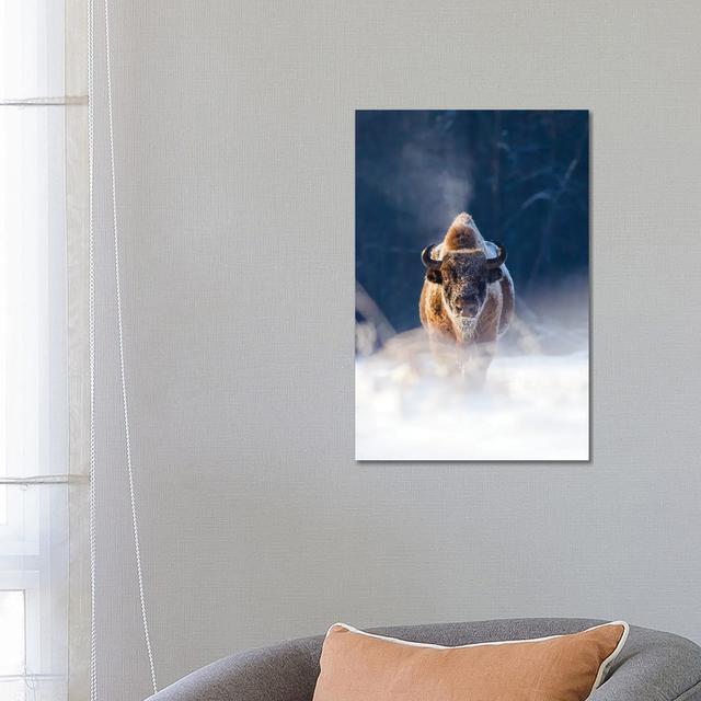 Frozen King by Mateusz Piesiak - Wrapped Canvas Print Natur Pur Size: 66.04cm H x 45.72cm W x 3.81cm D on Productcaster.