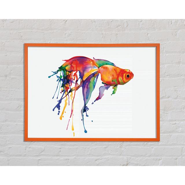 Barrone Rainbow Goldfish - Single Picture Frame Art Prints Highland Dunes Size: 21cm H x 29.7cm W x 2cm D on Productcaster.