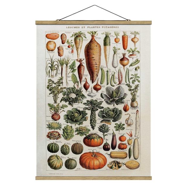 Stoffbild Vintage Educational Board Vegetables Sommerallee Größe: 106,5 cm H x 80 cm B x 0,3 cm T on Productcaster.