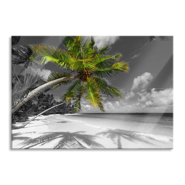 Glass picture | Mural on real glass Huge Palm Tree Over the Beach | Incl. Suspension and spacers LF5310 Bay Isle Home Size: 70cm H x 100cm W on Productcaster.