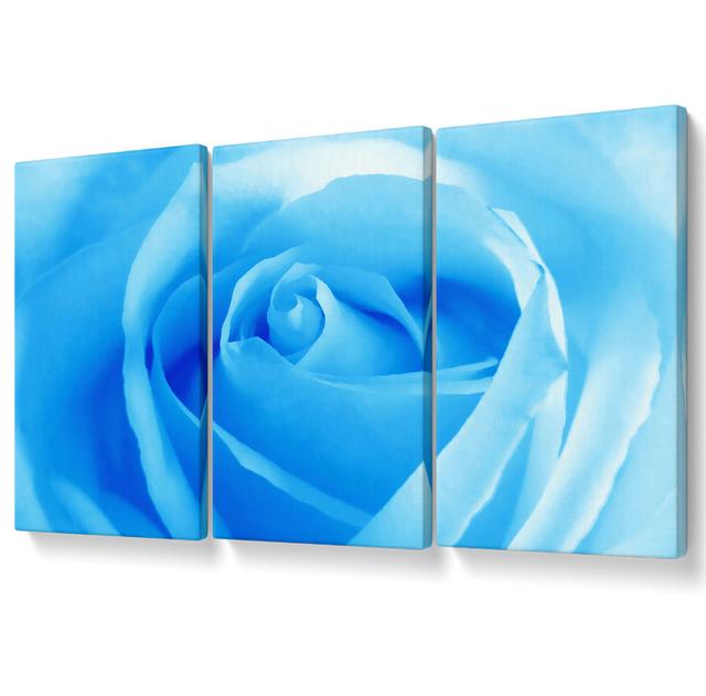 Baby Blue Rose - 3 Piece Wrapped Canvas Graphic Art Canora Grey Size: 121.9cm H x 243.8cm W on Productcaster.