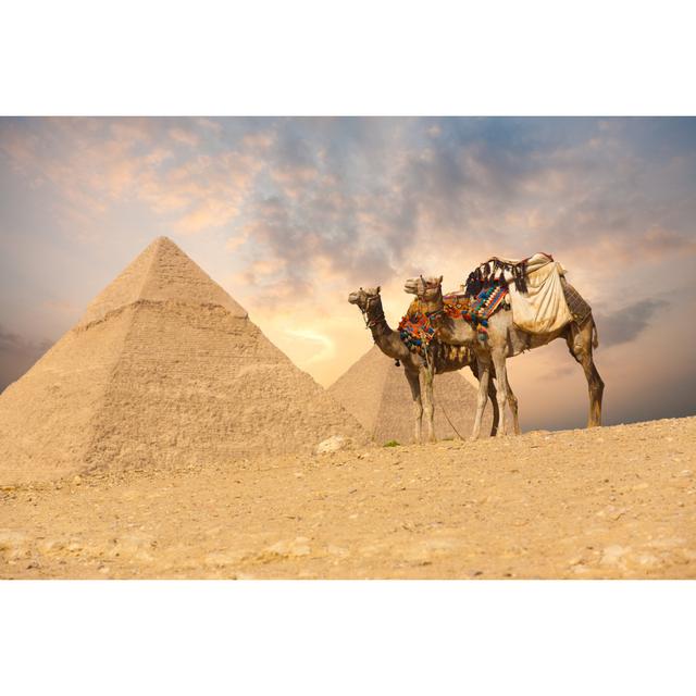 Double Camel by Pius99 - Wrapped Canvas Photograph Natur Pur Size: 20cm H x 30cm W on Productcaster.