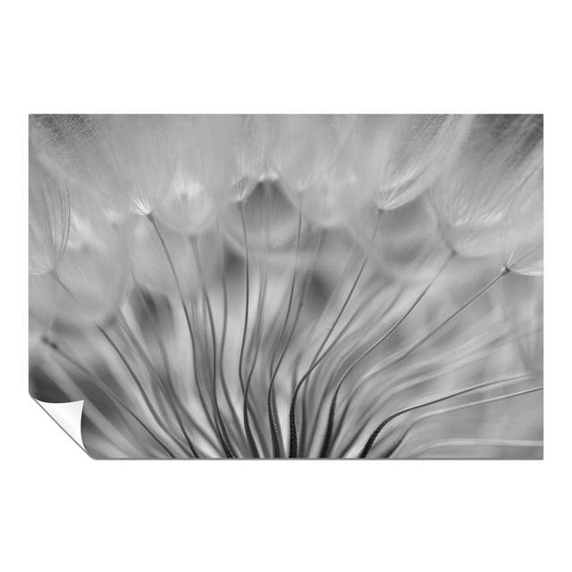 Dandelion Soft Floral - No Frame Print Panther Print Size: 51cm H x 76cm W on Productcaster.