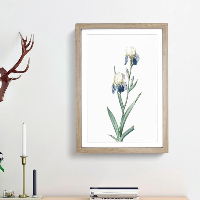 Elder-scented Iris Flowers by Pierre-Joseph Redoute - Picture Frame Painting Print East Urban Home Frame Option: Oak Framed, Size: 36cm H x 27cm W x 2 on Productcaster.