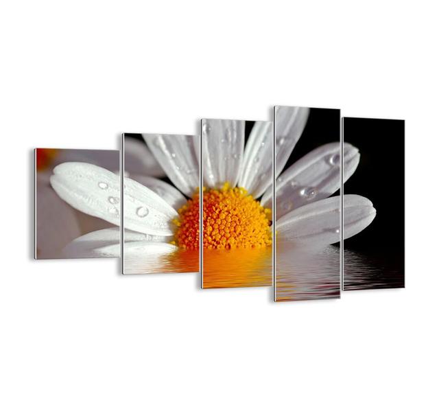 'Sun Rising Daisies' - 5 Piece Unframed Photograph Print Set on Glass Ebern Designs Size: 60cm H x 100cm W x 1.8cm D on Productcaster.