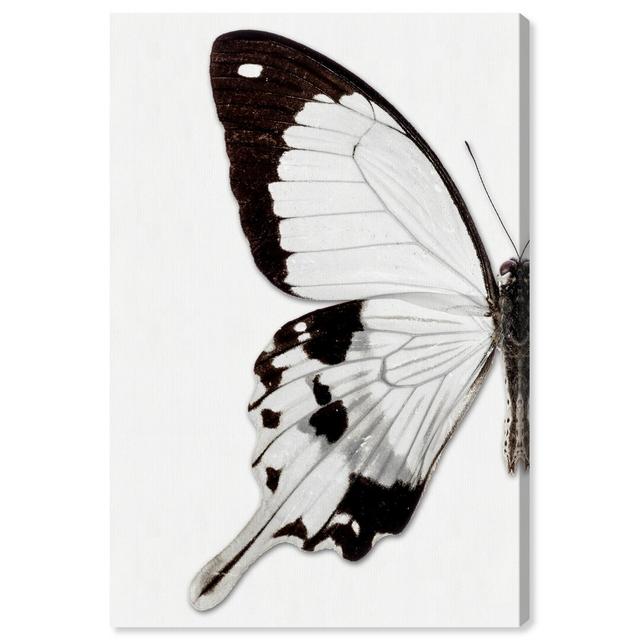 'Monochrome Butterfly' - Wrapped Canvas Graphic Art Print Oliver Gal Size: 76.2cm H x 3.8cm W x 114.3cm D on Productcaster.