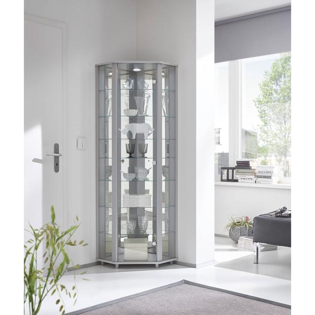 Frankmut Corner Curio Cabinet with Lighting Ebern Designs Colour: Silver on Productcaster.