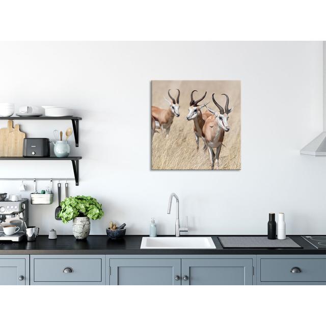 Antelopes In The Savannah - No Frame Print on Glass Ebern Designs Size: 80cm H x 80cm W on Productcaster.