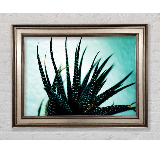 Single Picture Frame Art Prints Bright Star Size: 21cm H x 42cm W on Productcaster.