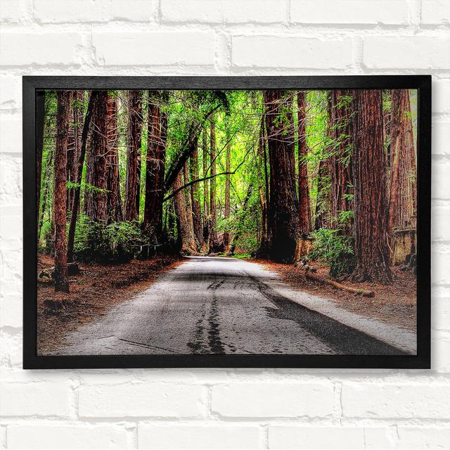 Green Forest Road - Closed Corner Frame Art Prints on Wood Latitude Run Size: 59.7cm H x 84.1cm W on Productcaster.