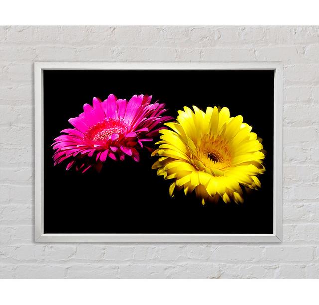 Pink And Yellow Gerbera Delight - Print Latitude Run Format: White Framed Canvas, Size: 100cm H x 141.4cm W x 3.3cm D on Productcaster.