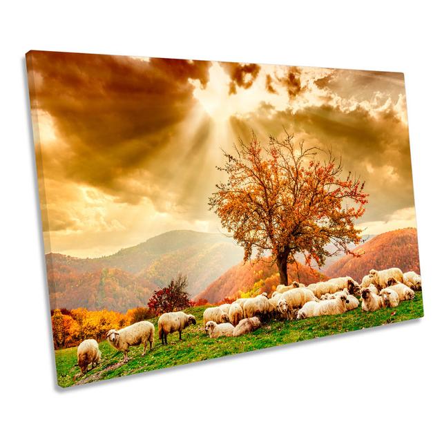 Highlands Sunset Landscape Sheep - Wrapped Canvas Art Prints August Grove Size: 30.5cm H x 45.7cm W on Productcaster.