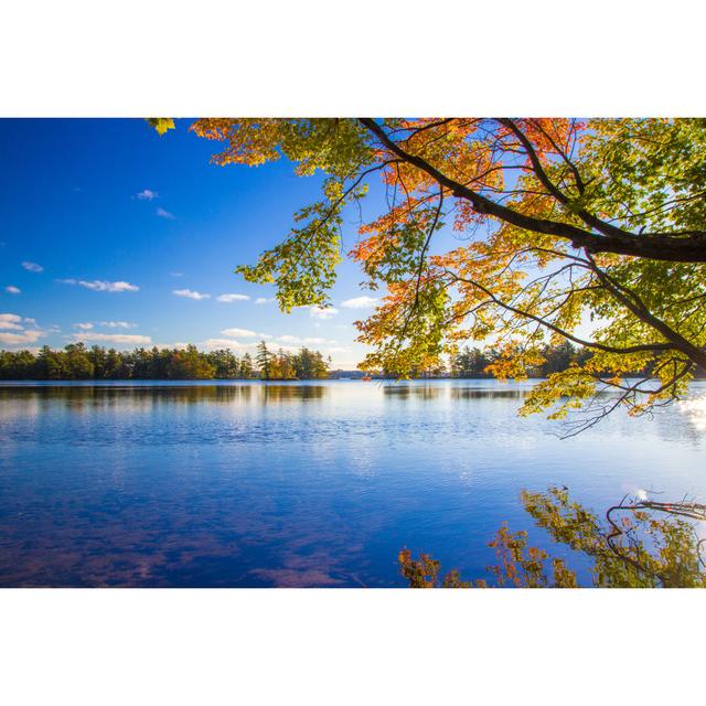 Autumn Lake by Ehrlif - Wrapped Canvas Print Ebern Designs Size: 81cm H x 122cm W x 3.8cm D on Productcaster.